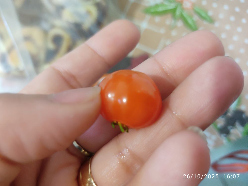 Uma pitanga vermelha em uma mão.