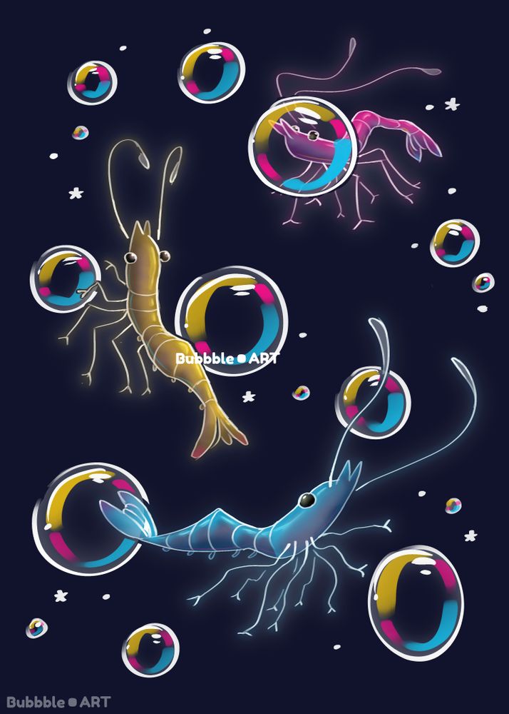 An illustration of 3 differently colored shrimp on a dark background. They are surrounded by, and perhaps playing with, bubbles. The watermark says "Bubbble.Art".