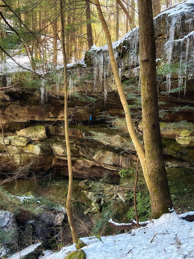 Alabama's crown jewel - the Bankhead National Forest You never want to pass up a chance for an icicle hike. 