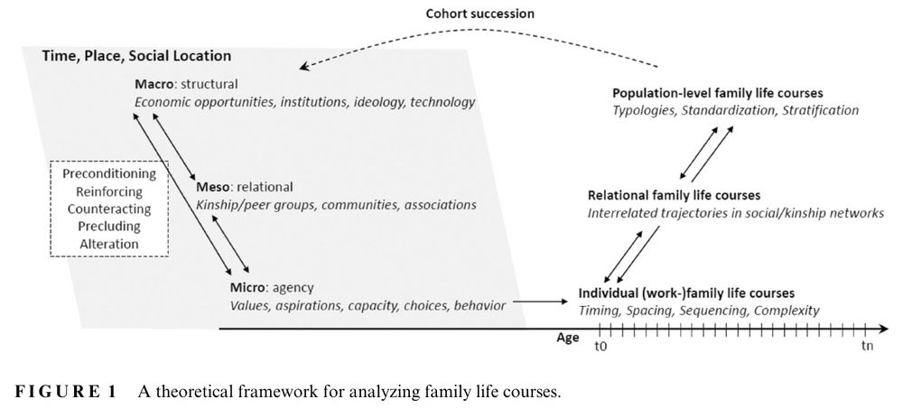 A theoretical framework for analyzing family life courses. Figure 1 re-organizes and extends core principles of the life course paradigm by specifying
(1) possible interacting relationships between predictors and (2) family life course outcomes on
different levels of analysis. We distinguish the macro, meso, and micro levels, which broadly
resonate with the core principles of time and place, linked lives, and agency in Elder et al.
(2003) and the dimension of “levels” in the life course cube (Bernardi et al., 2019).