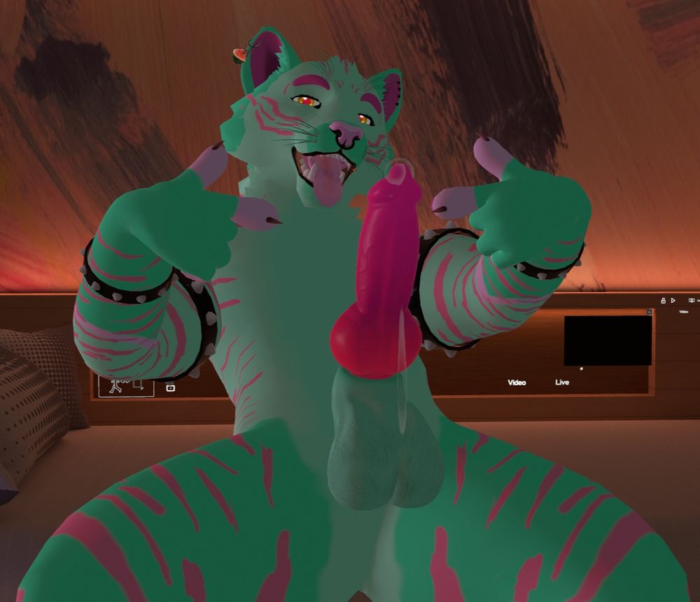 Smurko the Watermelon Tiger sitting on a bed, pointing at his erect knot