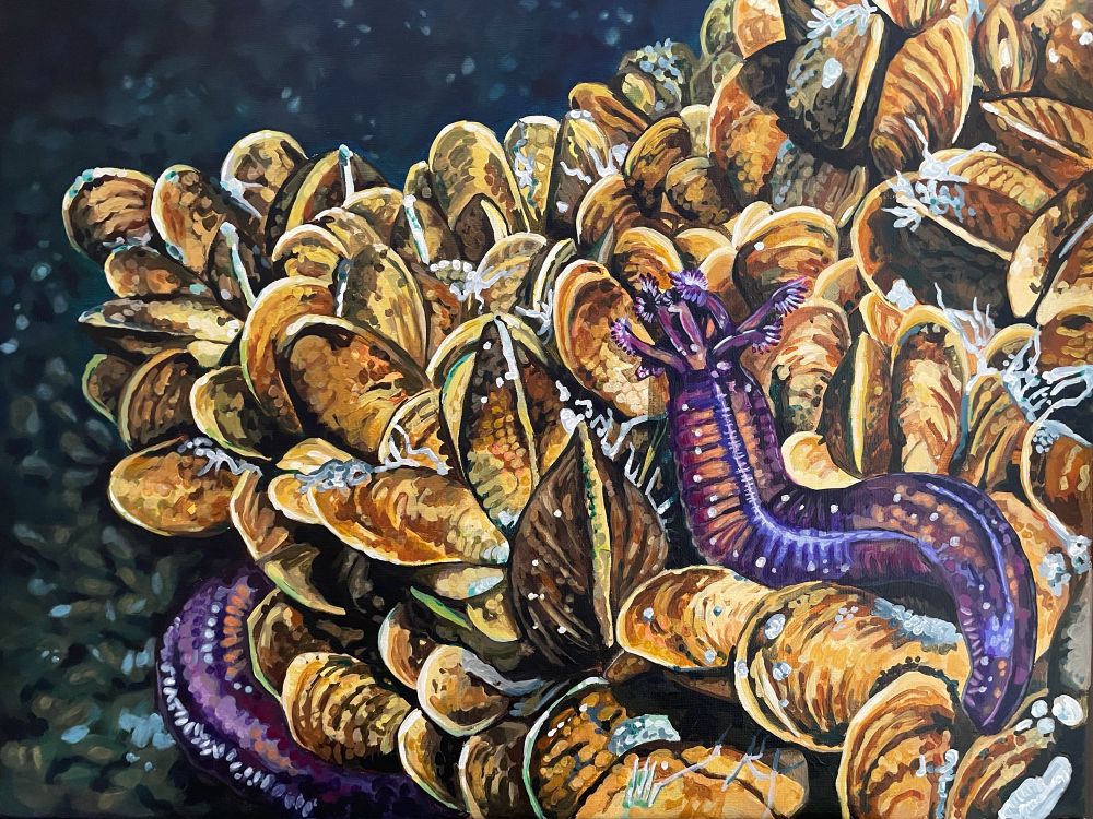 A bright purple sea cucumber swimming across golden brown mussels at a deep sea cold seep #SciArt #deepsea #deepseacreatures
