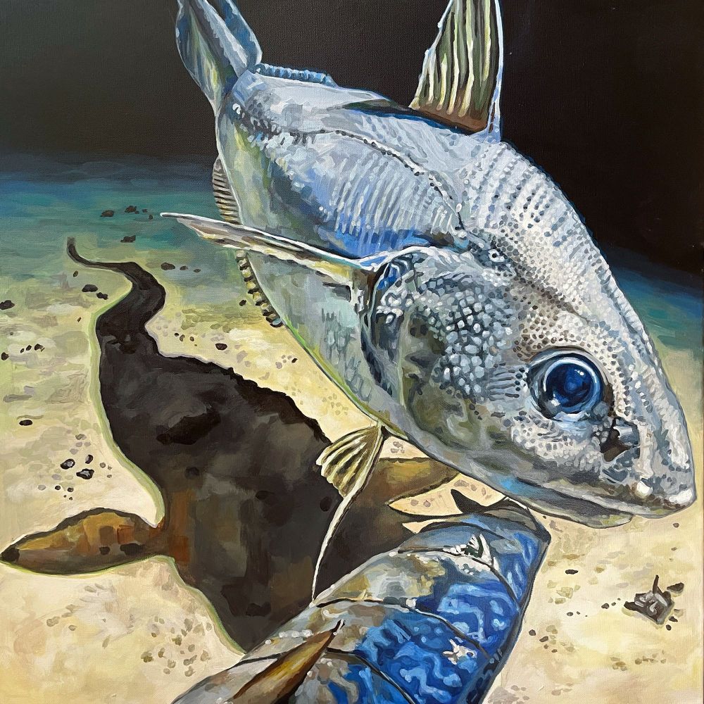 Deep ocean grenadier fish with a large blue eye swimming over a striped blue mackerel bait #SciArt #deepsea 