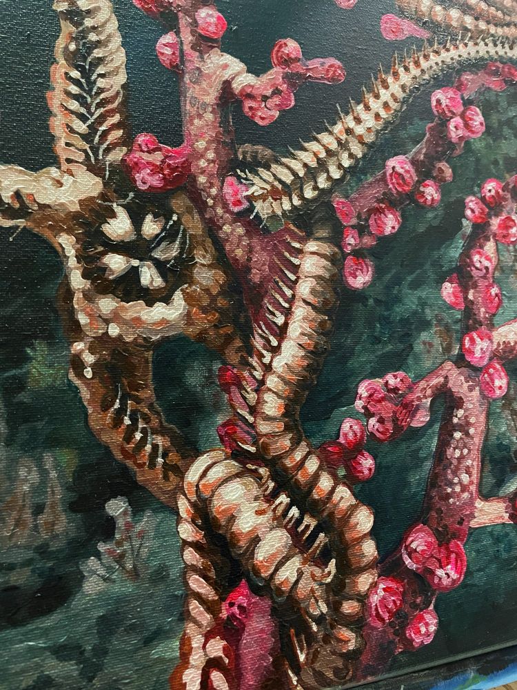 Brittle star twining around a pink bubblegum coral #SciArt #deepsea #deepseacreatures #brittlestar 