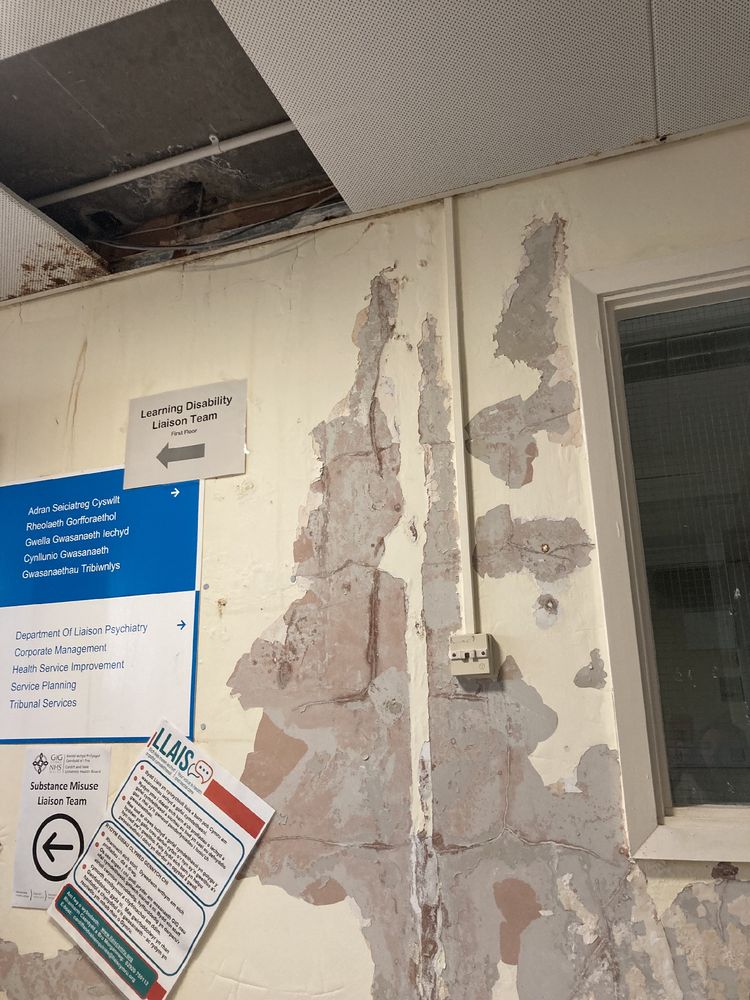 Upper part of a bare wall with paint peeling off, a missing ceiling tile and obvious water damage