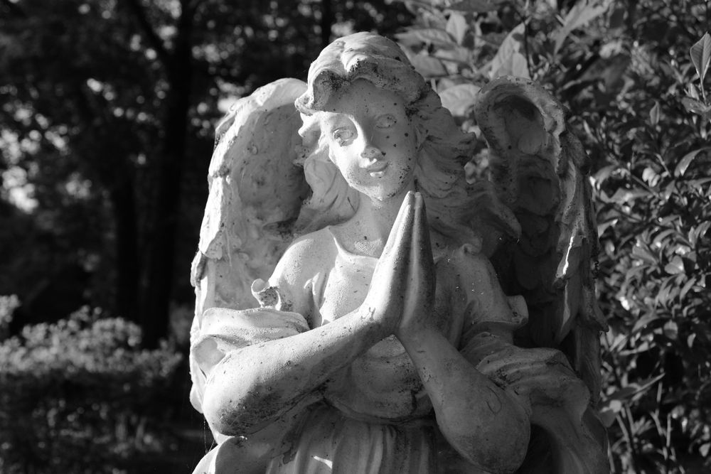 Black & White photograph of a praying Angel  surrounded by blurred foliage 