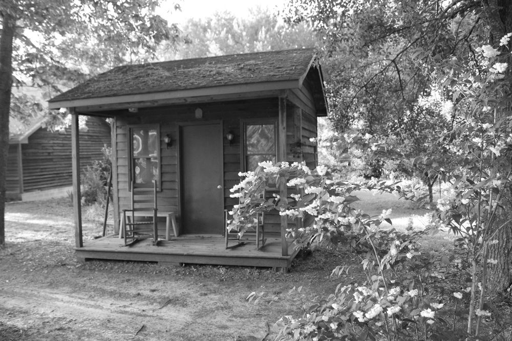 Black & White photograph of a small cabin obscured slightly by foliage