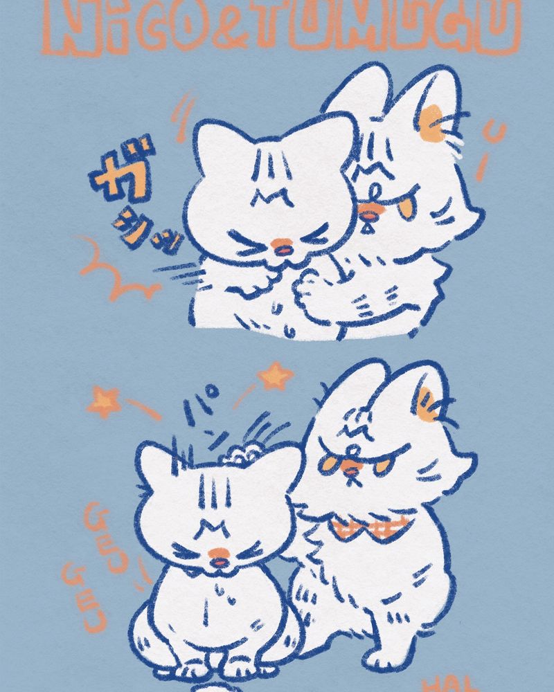 猫のつむぐとにこ