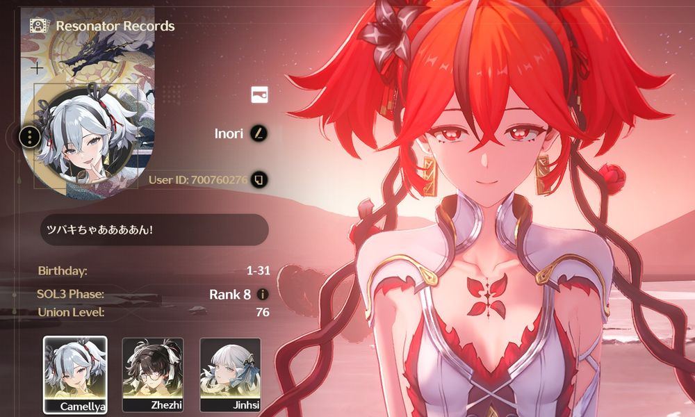 Please commission me so I can roll the gacha for more waifus like Tsubaki in wuthering waves