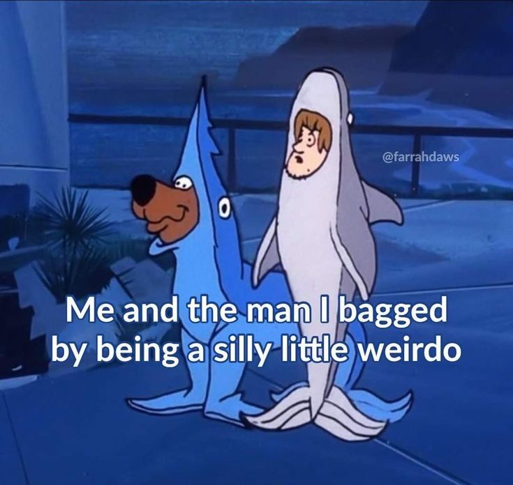 a scene from the show scooby-doo featuring scooby dressed in a blue shark costume and shaggy dressed in a gray shark costume. text overlay reads "me and the man I bagged by being a silly little weirdo"