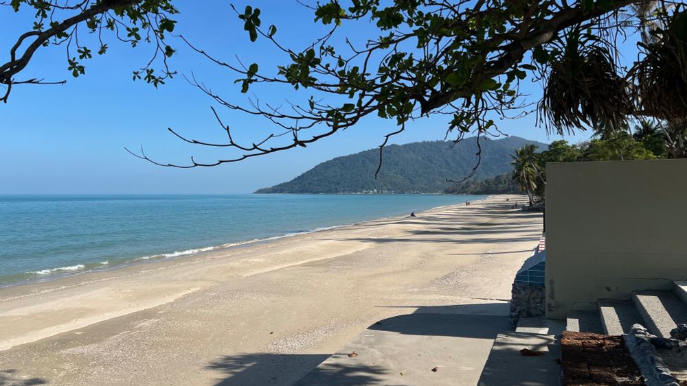 A view of the beach stretching into the distance with mountains on the horizon at the end of the beach. There are palm trees casting some sparse shade for visitors. The entire beach has only a handful of people.