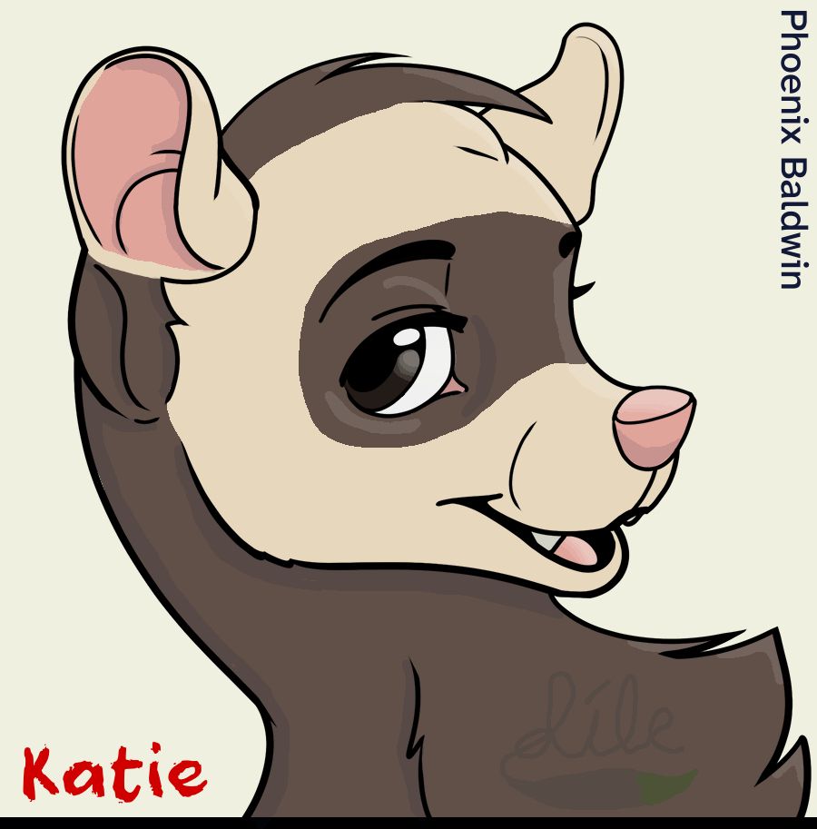 A cinnamon ferret with a band of brown across her eyes and a sassy grin.