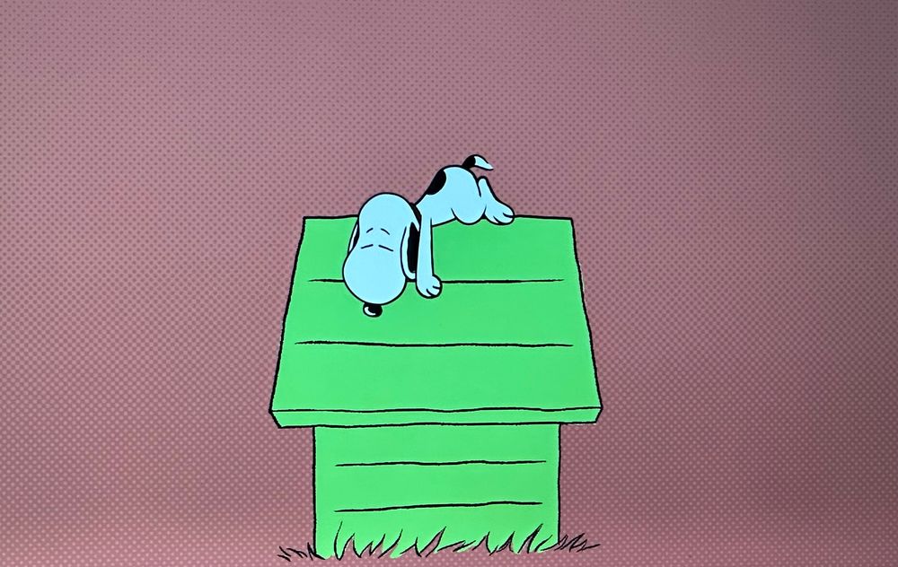 Snoopy asleep on his kennel 