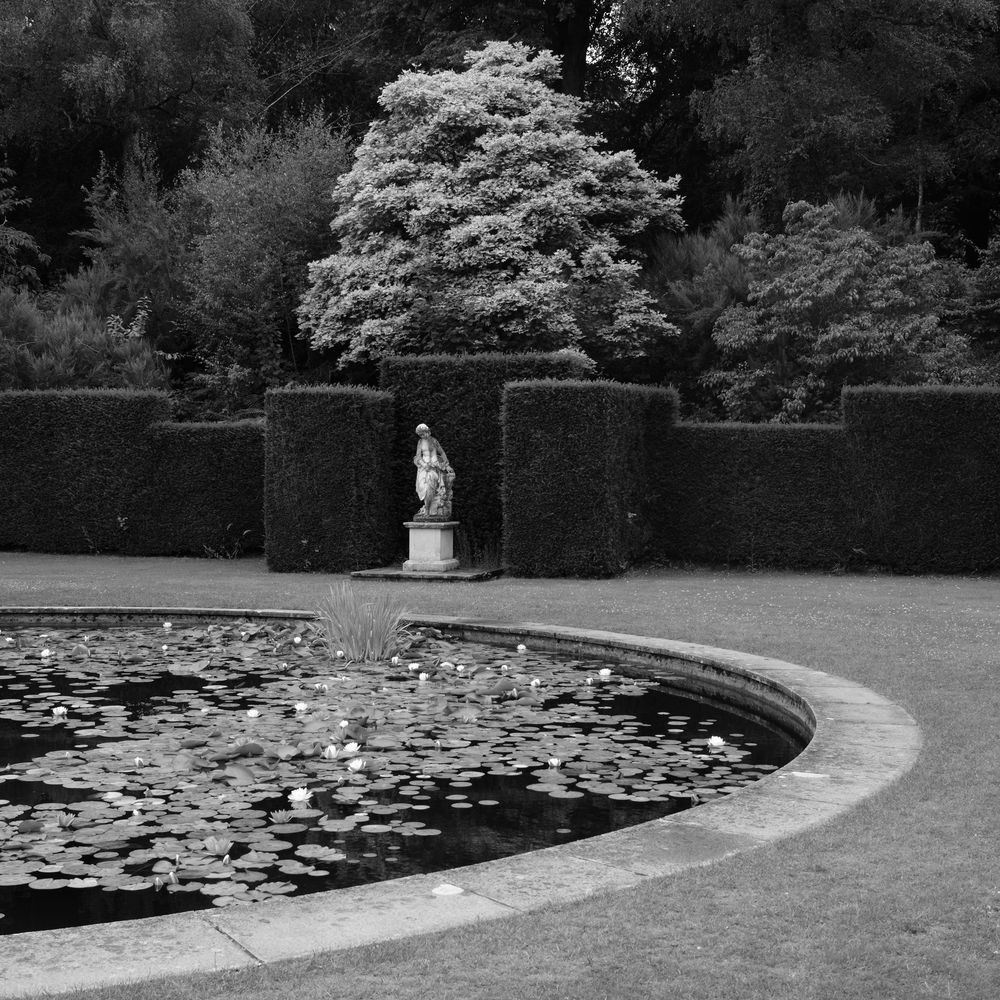 A circular pond and statue
