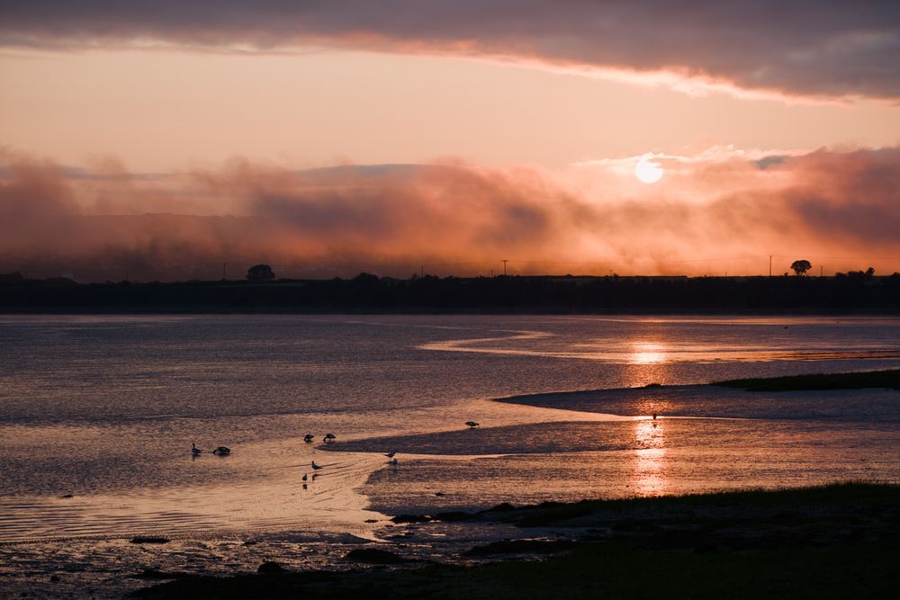 sun rising over mist, shining a path down the river to highlight some birds looking for food in the river banks