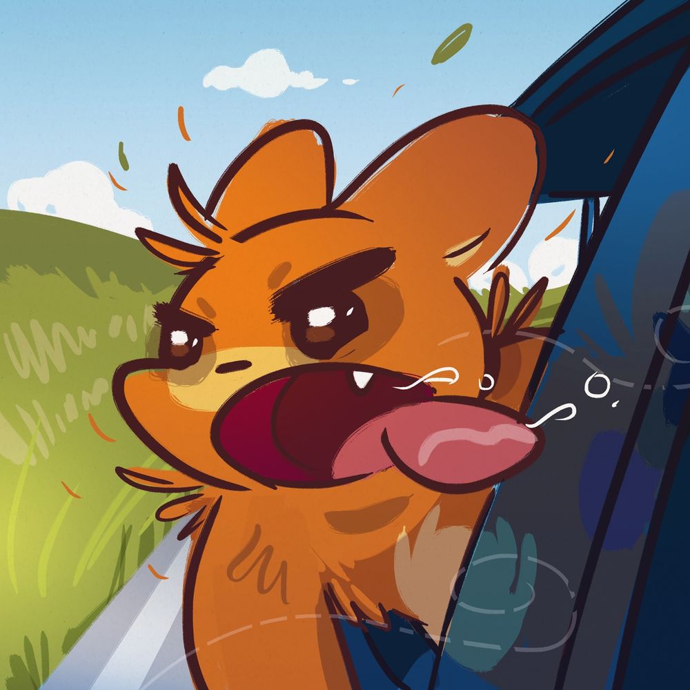 Bear hanging out a car window with her tongue sticking out while in the passenger seat of a car driving past grass fields.