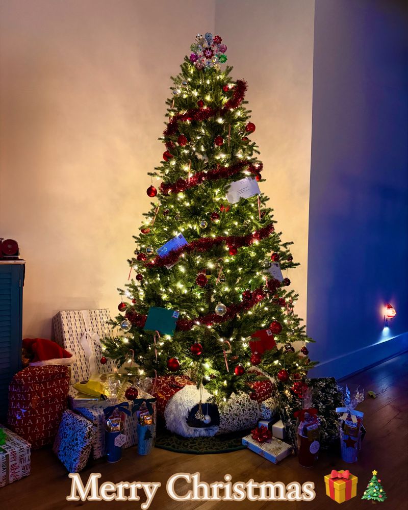 A Christmas tree decorated, with presents below