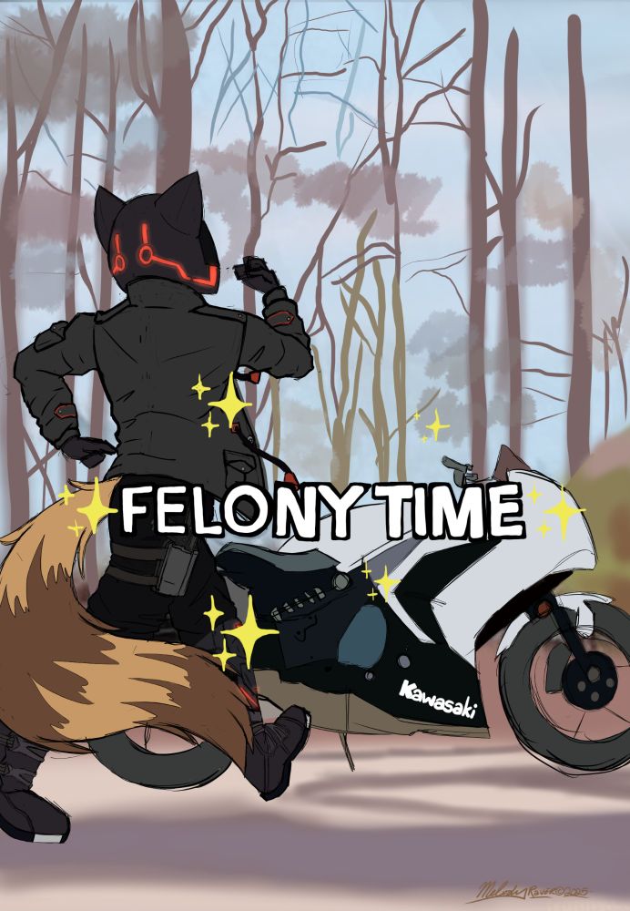 A meme of a raccoon in full motorcycle gear, striding happily away from the camera and towards a motorcycle. The text "FELONY TIME" and the sparkle emoji is over the image.