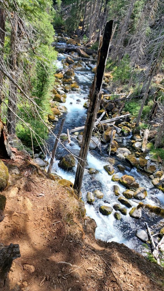 A view of the McKenzie river from above on the hiking trail. This area has a lot of flowing water and many, enormous moss covered rocks in the water. They seemed quite large even at a distance, which suggests how huge they are when you are so high up from the river.