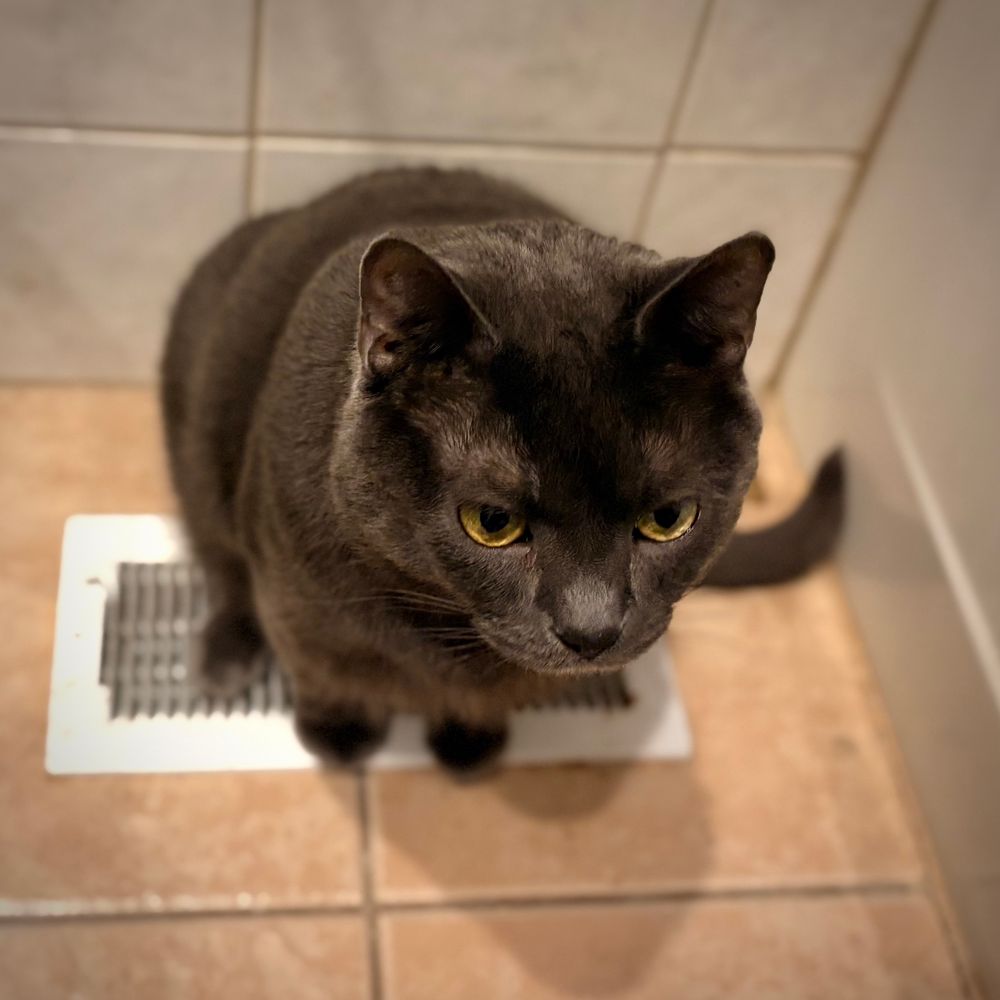 Jedediah toasting his butt