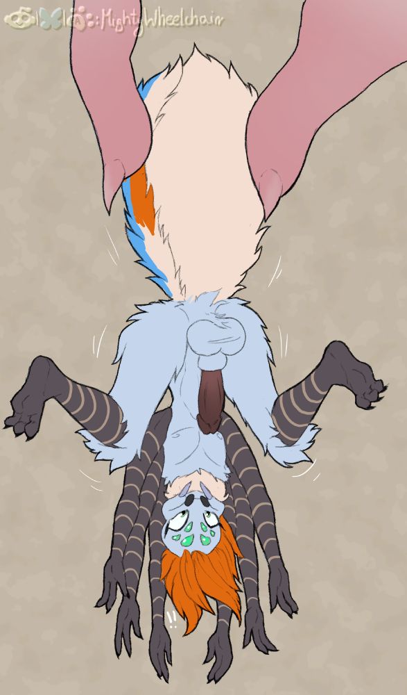 spider oc hanging upside down, held by the abdomen by two large rat fingers