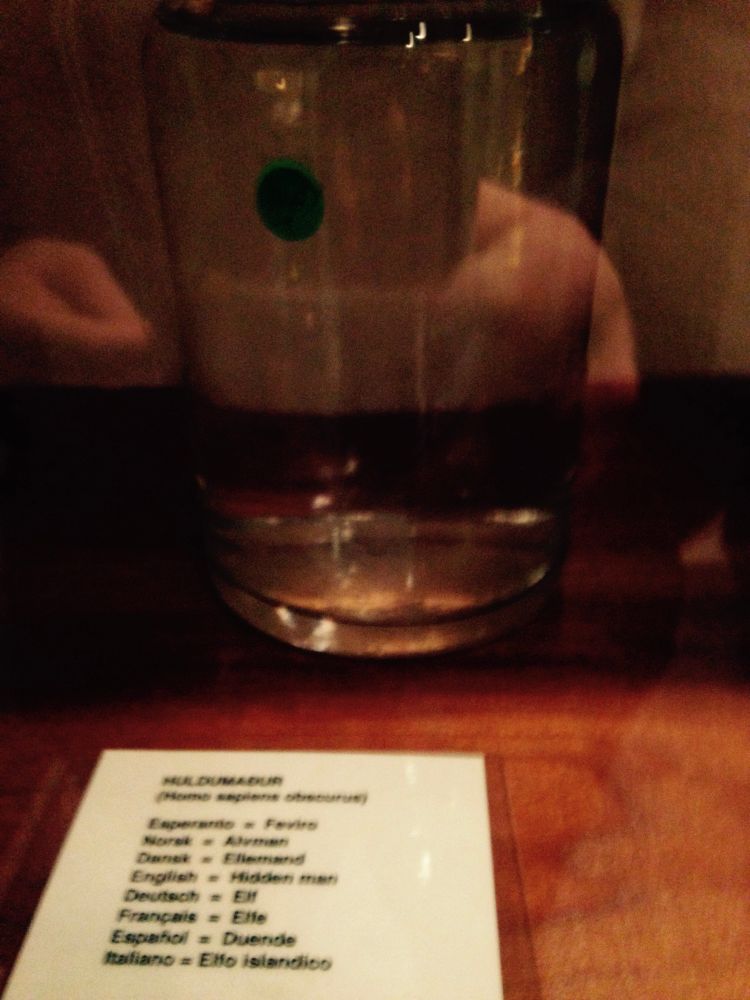 Shitty photo of a jar of formaldehyde with nothing in it at the penis museum is Reykjavik. In front is a piece of paper with the word for elf in different languages 