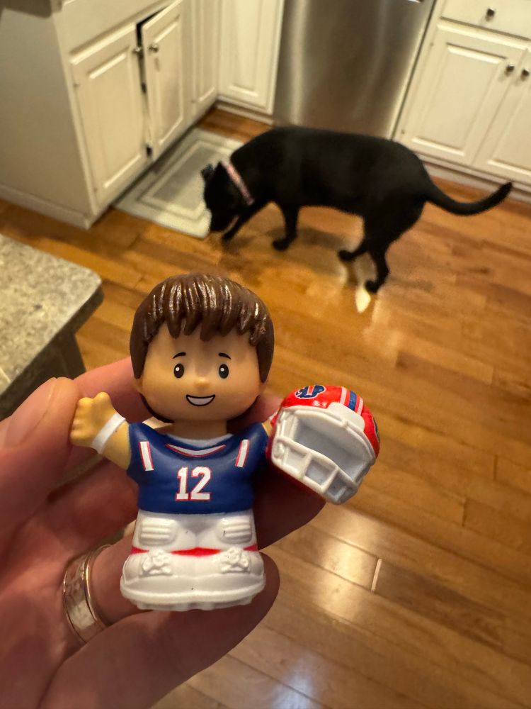 My hand holding a Bills little people Jim Kelly. A block dog is in the background in a kitchen 