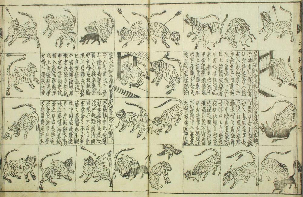 Tired of chickens, instead this image shows a two page spread of tigers and leopards doing their things. 