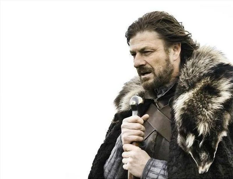 "Brace yourself" meme - depicts a Viking like figure 