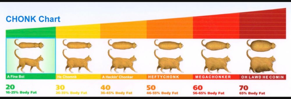A humorous weight chart for cats. Author unknown 