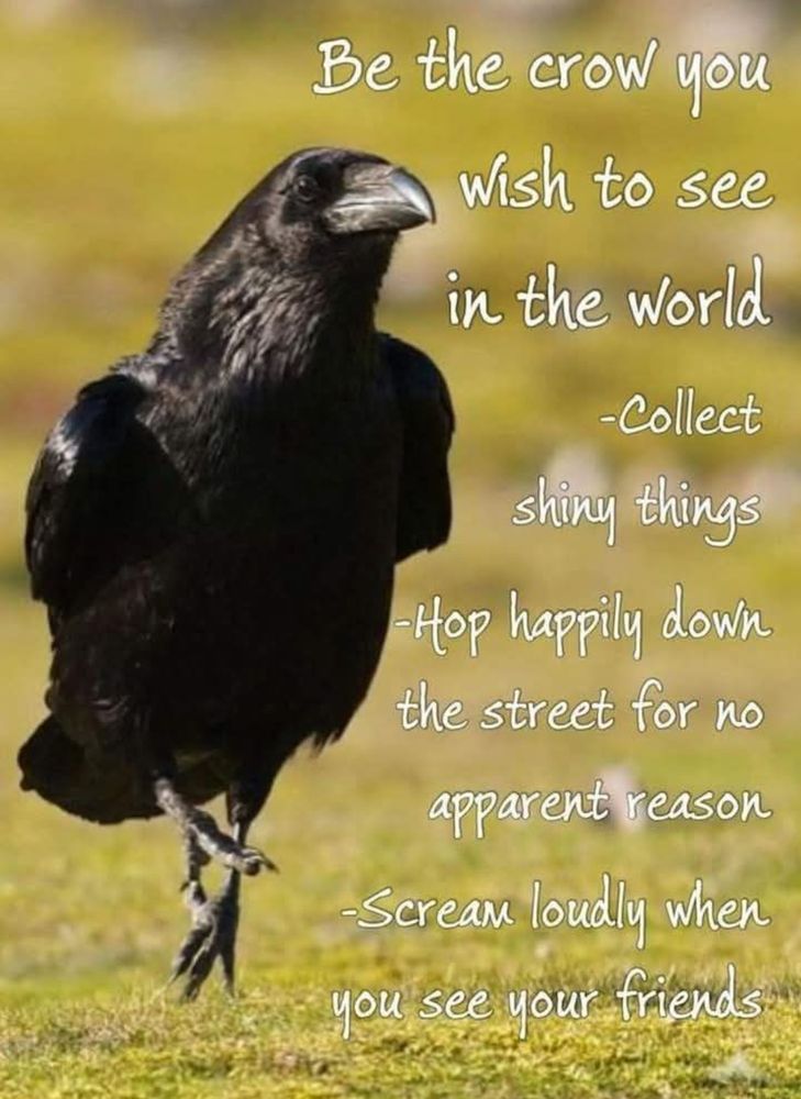 Comment image
