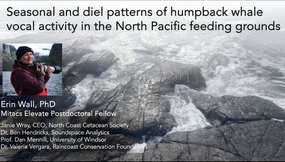 Background image of ocean water rushing over rocks with headshot of Erin Wall seen accompanying title text