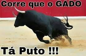 gado puto