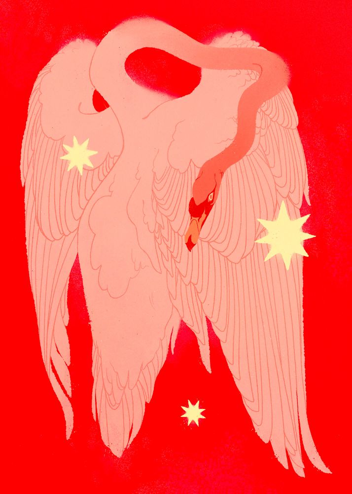 An illustration of a pink colored swan with its back to us, wings slightly out and its head leaning over its back. It's neck is unnaturally bendy. The background is bright red and light yellow stars surround it