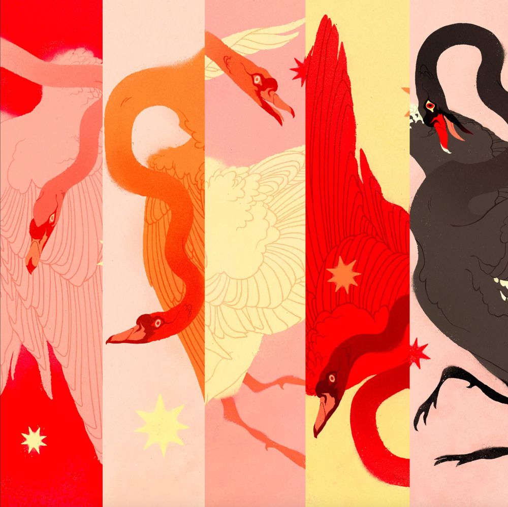 Set of five swans that all represent different tiers at Samantha Mash's Patreon starting with the Blush Swan, Amber Swan, Pearl Swan, Cerise, Swan, and ending with the Onyx Swan