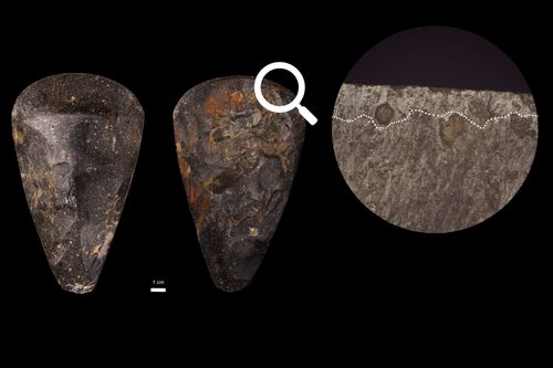 Picture of a polished axe with zoom on a part of the edge showing distinctive polish. 