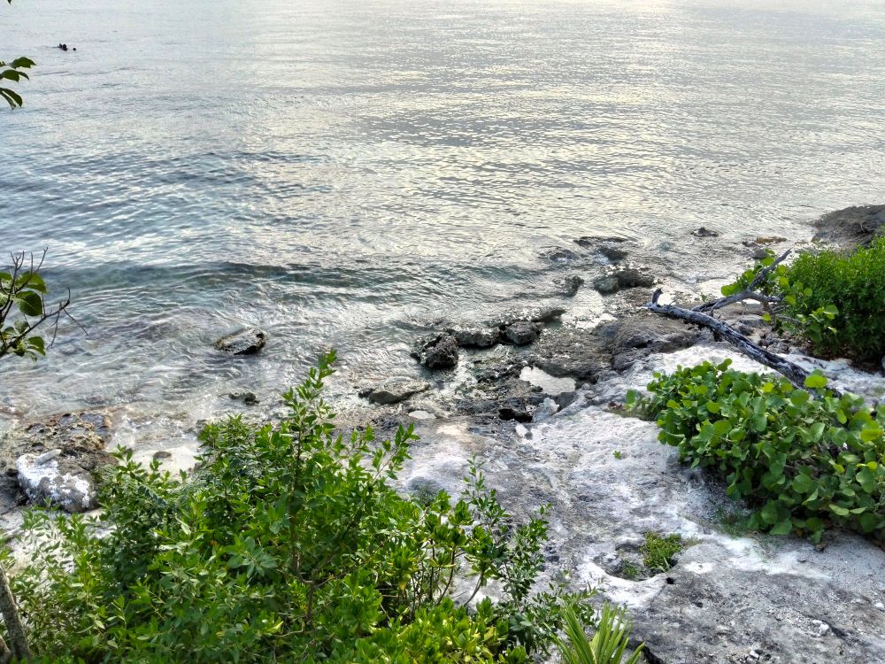 A rocky shore.