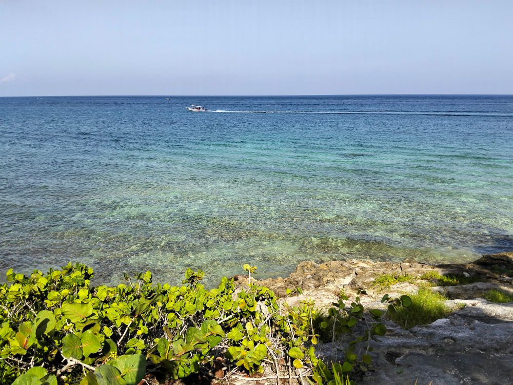 The sea.