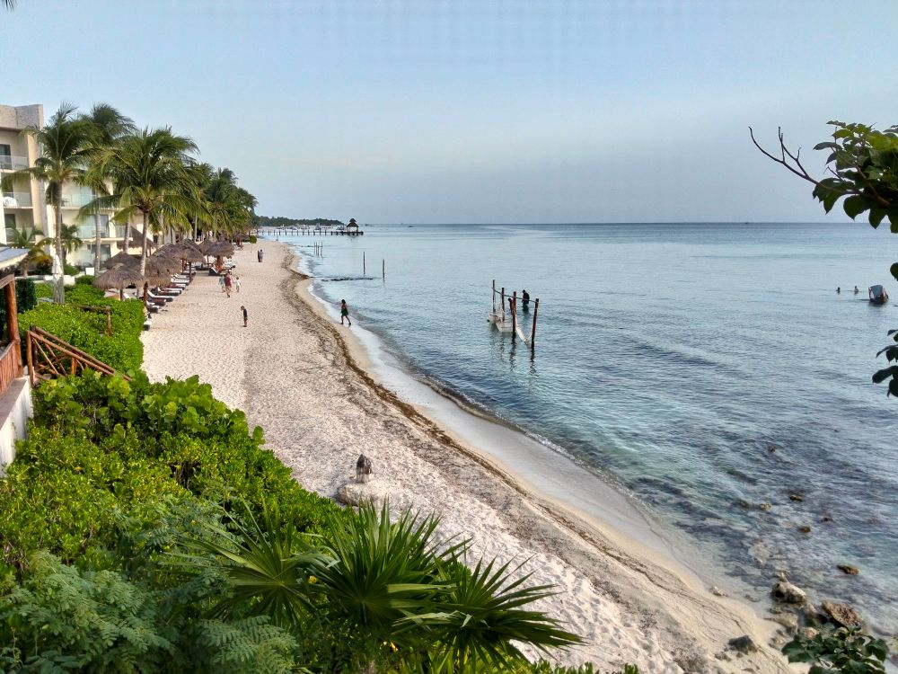 The beach.