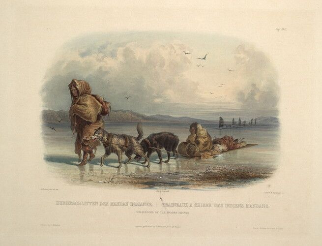 Dog Sledges of the Mandan Indians, plate 28 from Volume 2 of 'Travels in the Interior of North America'