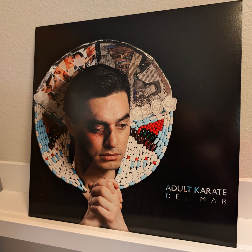 The cover for Adult Karate's 2018 album, 'Del Mar', propped up on a small white shelf.
