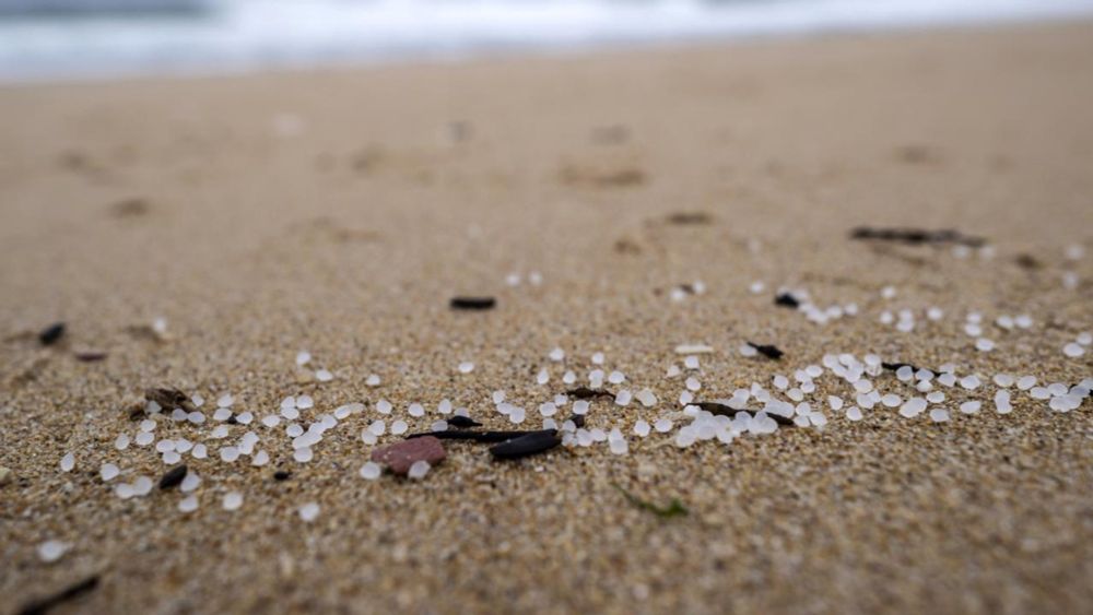 Alarm in Spanien wegen Massen angeschwemmter Plastikkügelchen