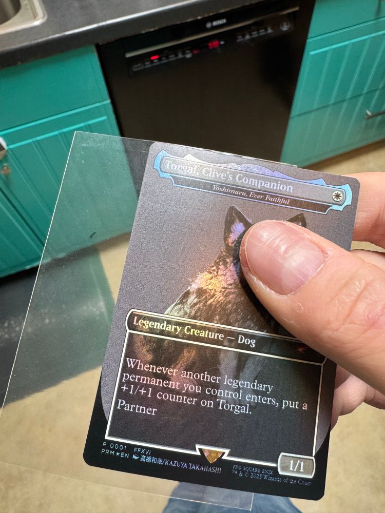 A view of Torgal, Clive’s Companion promo MTG card that shows the marking on the card where the penny sleeve was damaged.