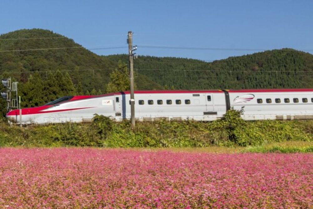 JR東、東北新幹線の分離事故について報告　車両製造時に発生した金属片が原因か（アスキー） - Yahoo!ニュース