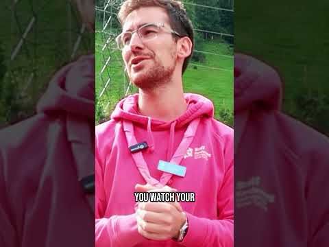 ONE WORD to describe Scouting | Pani #motivation #positivevibes
