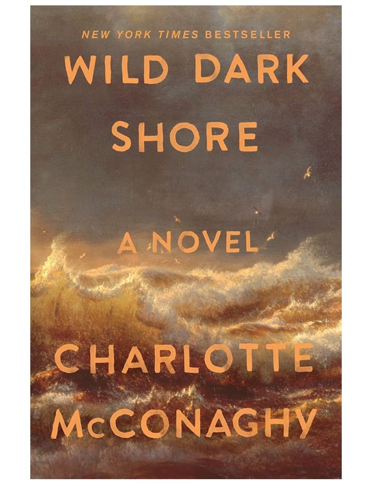 Book cover of wild dark shore by Charlotte McCarty