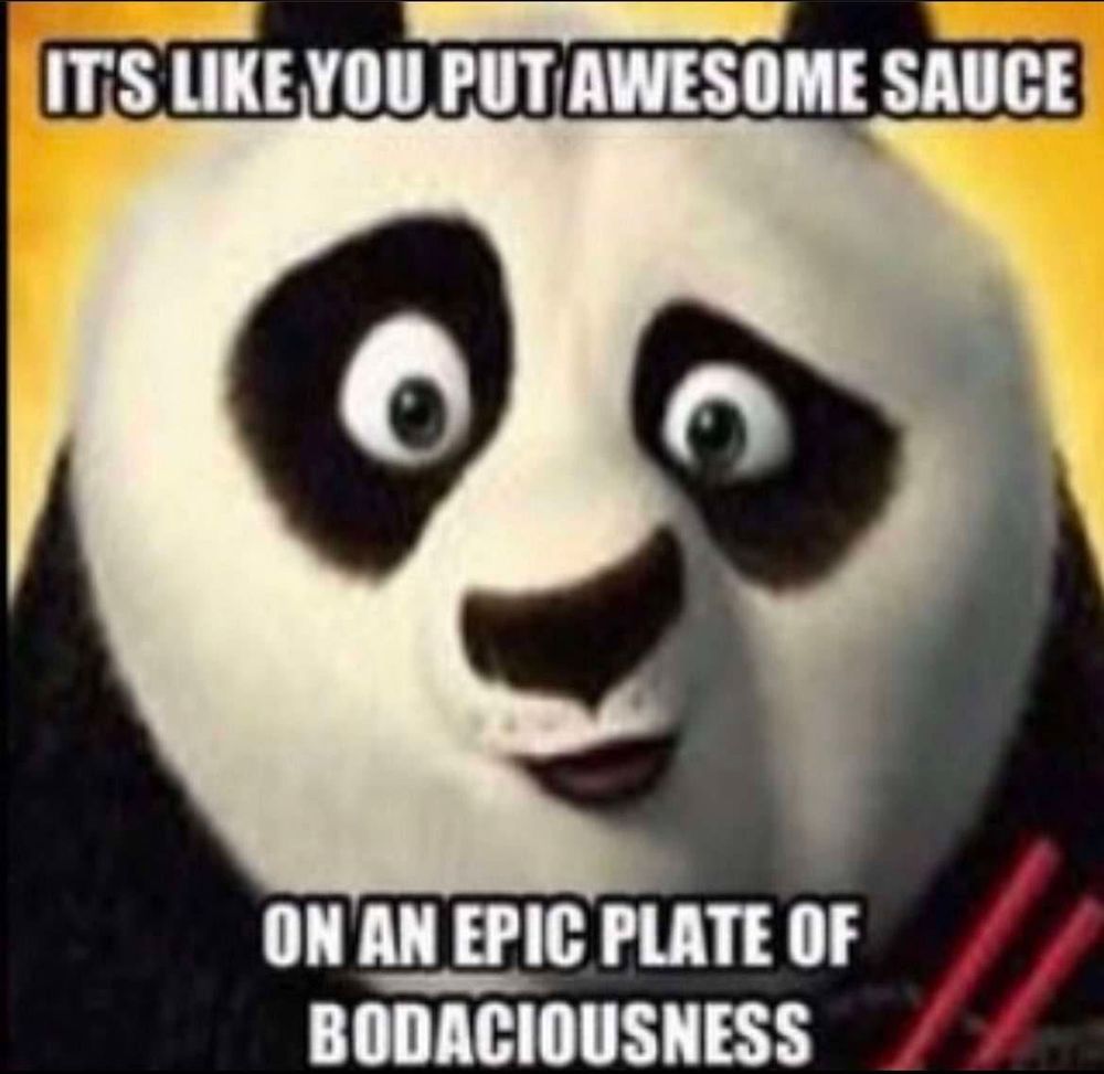 A impact font style meme on a really crusty jpeg of Po from Kung Fu Panda.
Top text: It's like you put awesome sauce
Bottom text: on an epic plate of bodaciousness