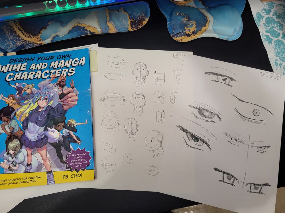 A book from the artist TD Choi is in the picture along with my practice sketches from it - simple head sketches and eye sketches