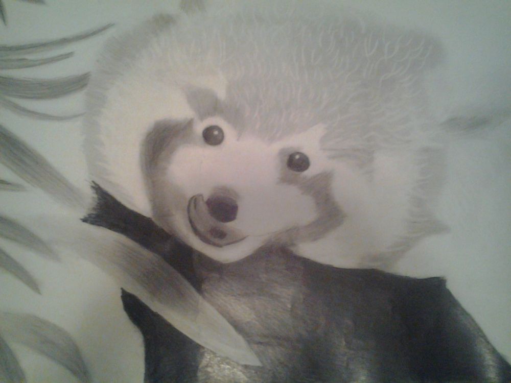 sketch of a red panda with its tongue sticking out