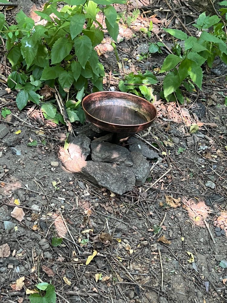 Bird bath 